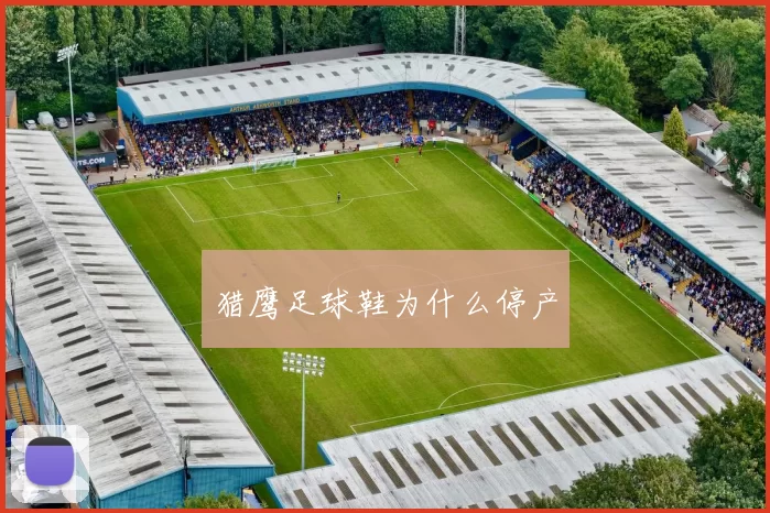 猎鹰足球鞋为什么停产