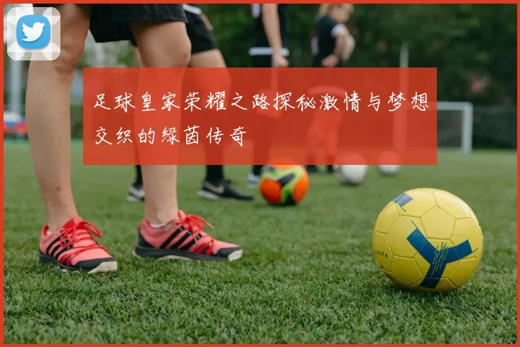 足球皇家荣耀之路探秘激情与梦想交织的绿茵传奇