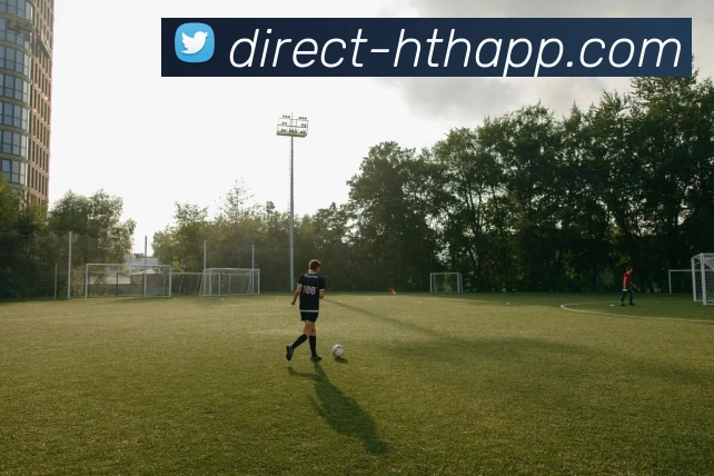 华体会体育APP平台生态图